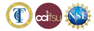 tcc, cci, nsf logos 