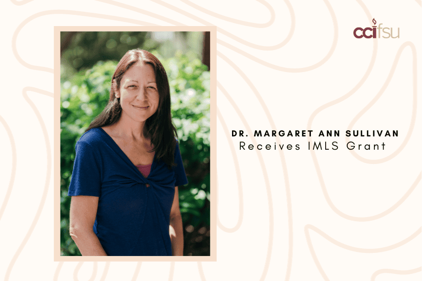 Dr. Margaret Ann Sullivan Receives IMLS Grant