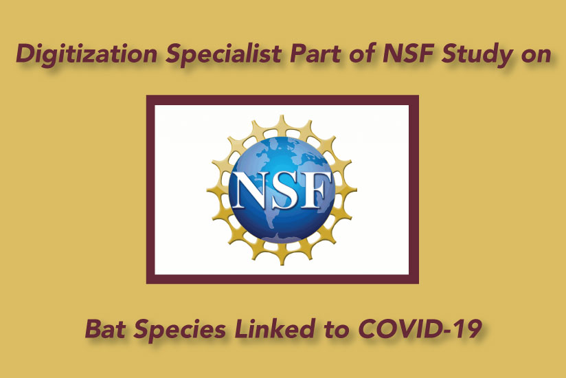 COVID-19 grant from NSF