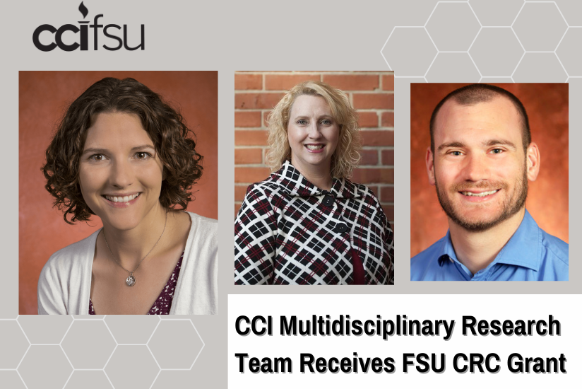 CCI Multidisciplinary Research Team Receives FSU CRC Grant